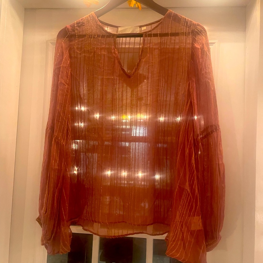 Love Sam sheer blouse size small